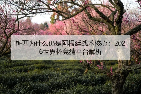 梅西为什么仍是阿根廷战术核心：2026世界杯竞猜平台解析